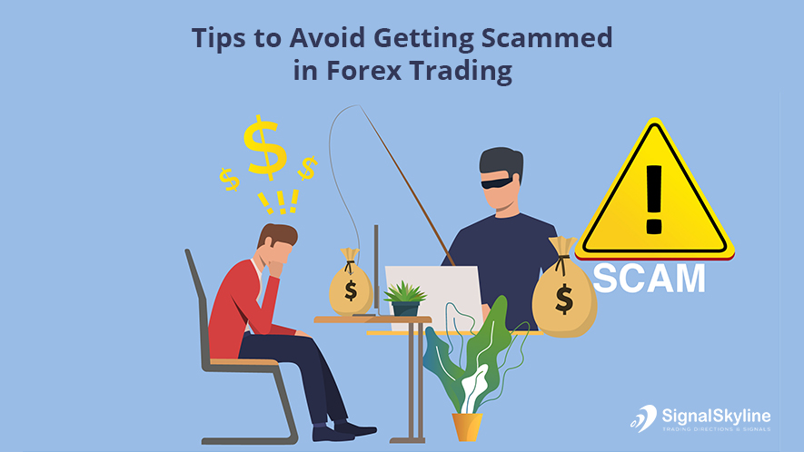 Forex scam how to choose your forex broker